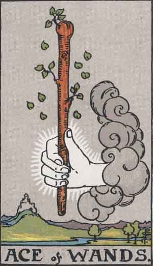 Ace of Wands from the Rider-Waite tarot deck (public domain)